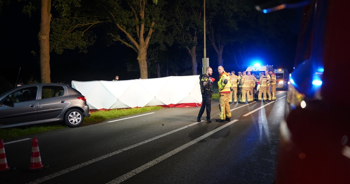 Automobilist overleden door botsing tegen boom.