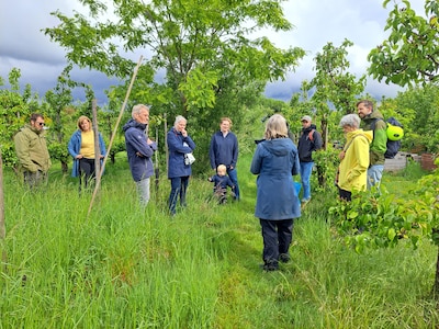 Veertien Gelderse voedselbossen openen poorten tijdens Open Voedselbossendag