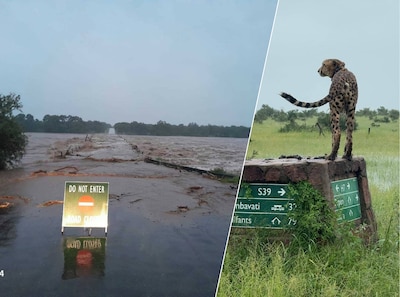 Wereldberoemd Krugerpark Zuid-Afrika ontruimd door noodweer