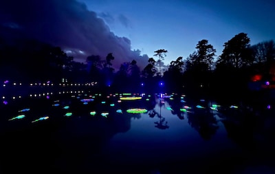 Gelderse Roos Prijs zet deze keer verborgen verhalen in de spotlights