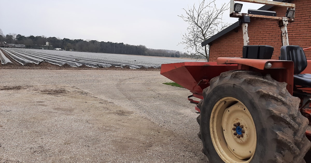 Man die door tractor werd overreden in Stevensbeek ontsnapte aan de dood: ‘Op een betonnen erf had h