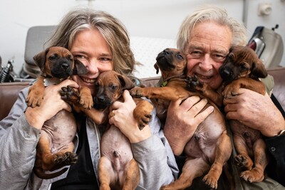 Eddy en Annelies verrast door een nest van 15 (!) pups: ‘Ongelofelijk hè?’