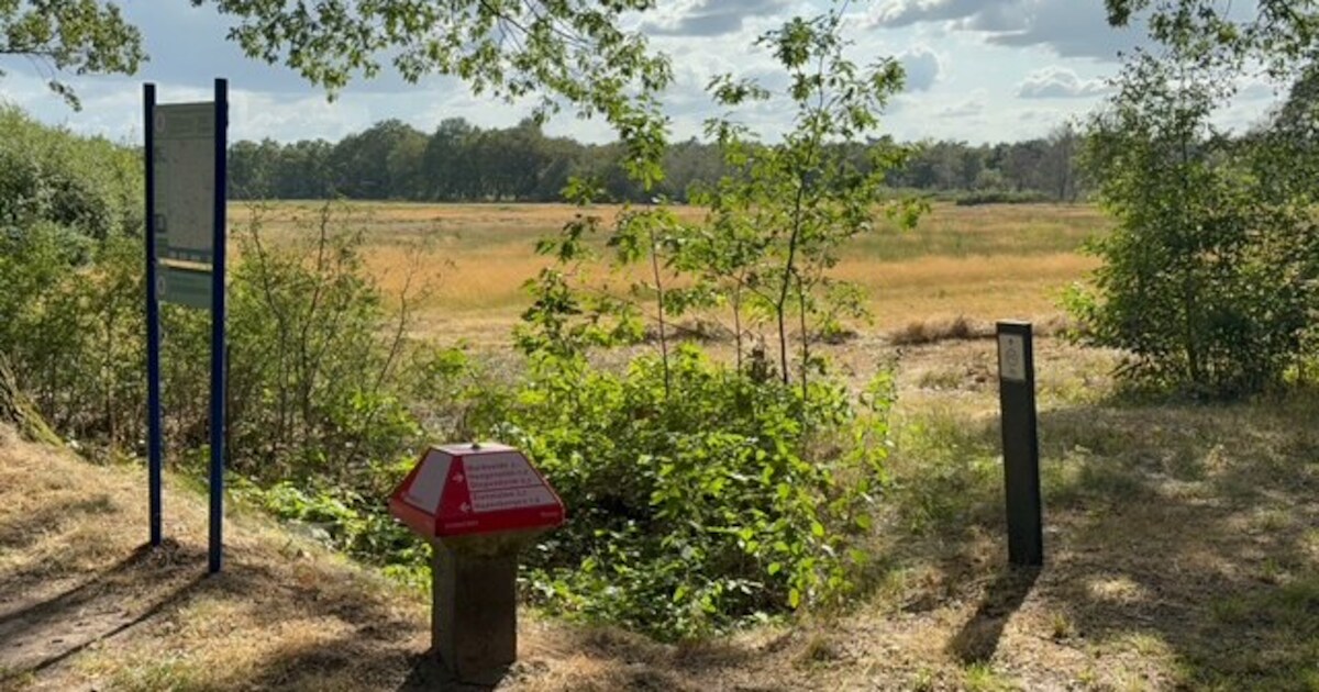 Twente ‘meets’ de Achterhoek op dit rondje van bijna 50 kilometer