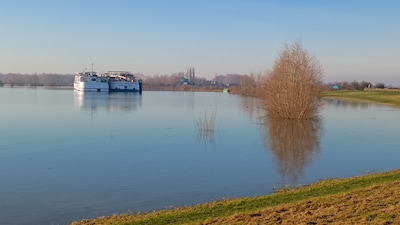 Blauwalg geconstateerd bij Het Eiland van Maurik: pas op met zwemmen