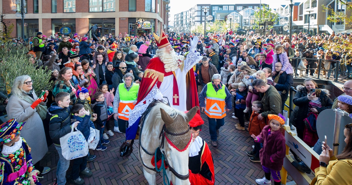 Dank u Sinterklaasje!