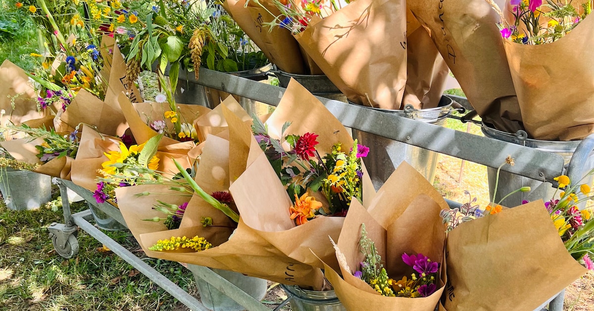 Duurzame bloemist opent tijdens Bloesemdag in Oosterbeek