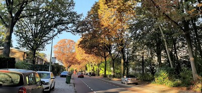 Weektips: dit kun je doen in Ede (20 - 24 okt)