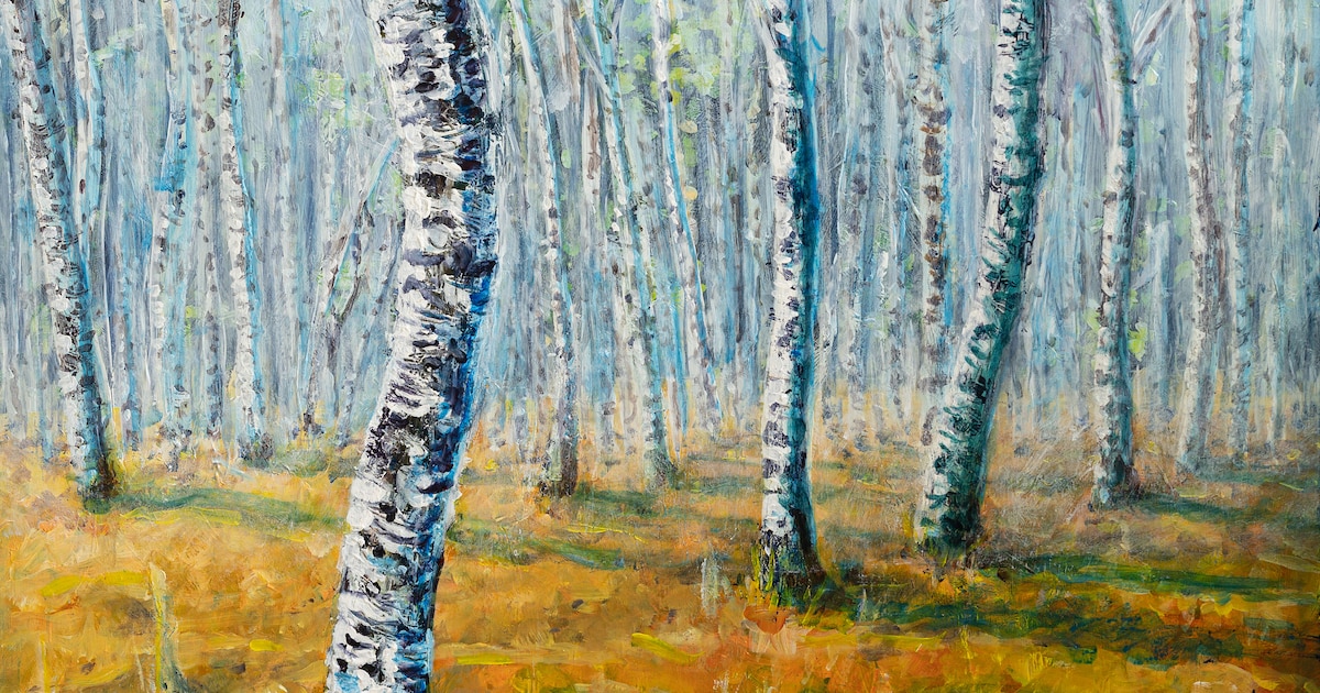 Expositie ‘Tegenkomsten’ bij De Paperclip in Velp