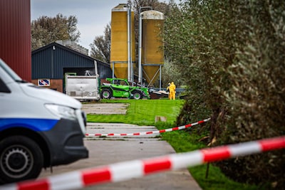 Kabinet grijpt in na drie uitbraken van vogelgriep: landelijke ophok- en afschermplicht