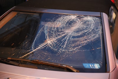 Van lekkages tot bomen op auto’s: verzekeraars krijgen meer dan duizend schademeldingen na stormen