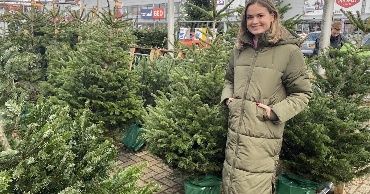Bye bye boom! Hier in Ede lever jij je kerstboom in