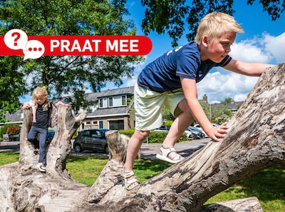 Van schommel naar boomstam: zijn verwilderde speeltuinen een goed idee?