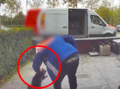 Via videodeurbel ziet Karin hoe postbode haar kat Ollie hardhandig vastgrijpt: ‘Ik ben bang dat hij