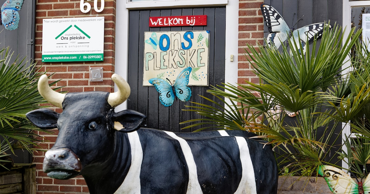 Dagbesteding Ons Plekske in Vinkel houdt open dag