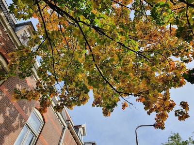 Oktober 2026: dit is er deze maand te doen in Nijmegen