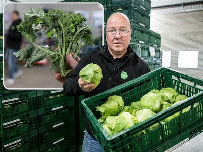 Droogte maakt groente kleiner en duurder: aardbeien en aardappelen schieten omhoog in prijs
