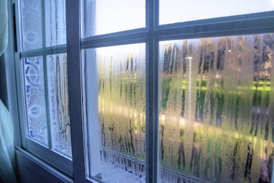 Vochtproblemen in huis: wanneer is een luchtontvochtiger een reddende engel?