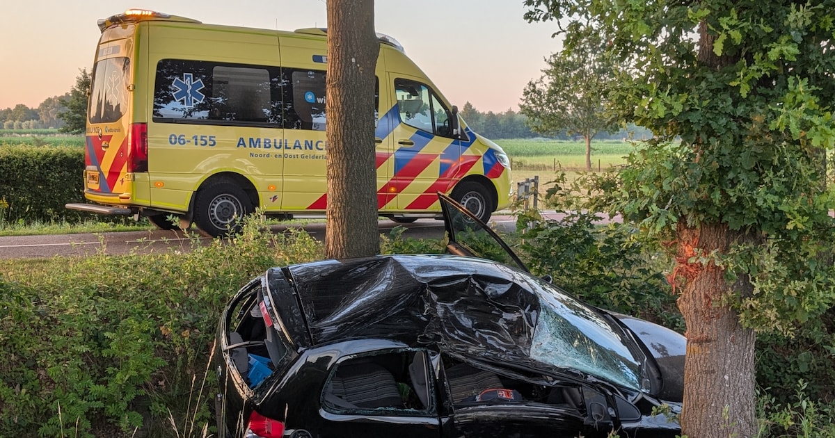 Auto belandt in sloot aan Doetinchemseweg in Zelhem, voertuig flink beschadigd