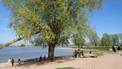 Nijmegen zet Waalstranden opnieuw op nachtslot: geen enkele boete, toch maatregel voor drie jaar