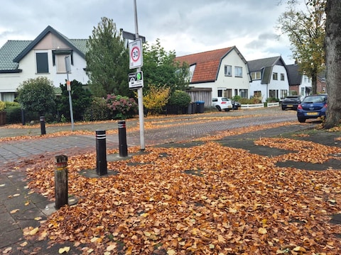 Alle blaadjes verzamelen! Zo ruimt de gemeente Enschede de bladeren op