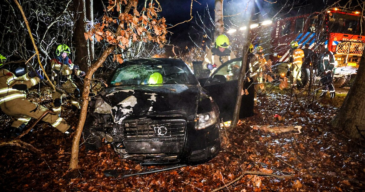 Pool met 'borrel op' belandt met auto van de weg en tussen de bomen in Otterlo
