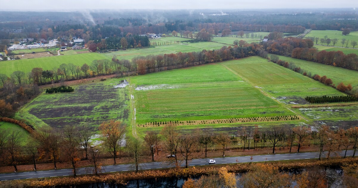 Groene stroom voor Brummen: deze twee zonneparken zijn goedgekeurd