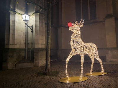 11 x dit doe je tijdens de kerstvakantie in Nijmegen