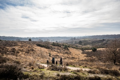 Steden bij kwetsbare natuur kampen met ‘dubbel zware positie’ door stikstof: roep om miljoenen van Rijk