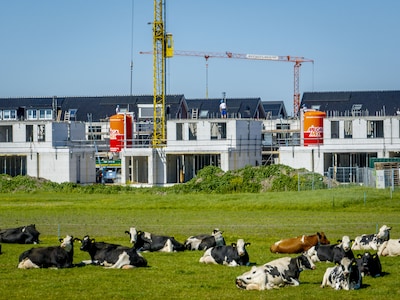 Katsjing! 199.000 euro voor hectare boerengrond, woningzoekers dupe van fiscale voordelen landbouw