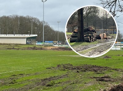Niet gemeld, wel gekapt. Gemeente gaat de fout in op gevoelig stuk grond: ‘Betreuren het zeer’
