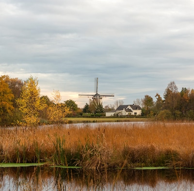 Boswachters houden gezinswandeling met bezoek aan molen in Hernen