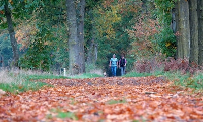 Volgende week dalen de temperaturen en wordt het zelfs kouder dan gebruikelijk