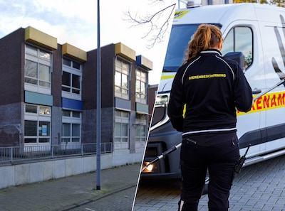 Zoektocht naar kat in slooppand krijgt bijzondere wending: ‘We stonden te kijken met open mond’