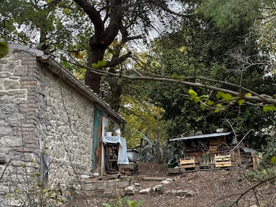 Australisch stel dat in Italiaanse bossen leeft, verliest gezag: kinderen zien in tehuis voor het eerst lichtschakelaar