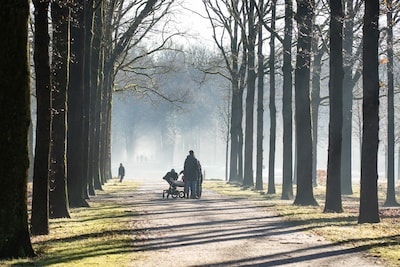 Zon schijnt morgen flink op ‘meest deprimerende dag van het jaar’, later in de week wordt het kouder