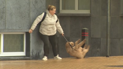 Onstuimige weer houdt aan: aan de kust zware windstoten, deels code geel