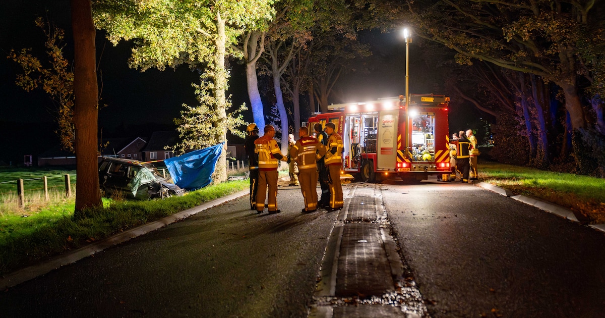 Automobilist overleden bij ongeluk op N348.