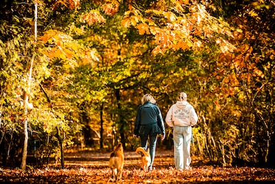 Kletsnatte zaterdag maar volgende week tot wel 17 graden: ‘Winterjas zeker niet nodig, kachel kan uit’