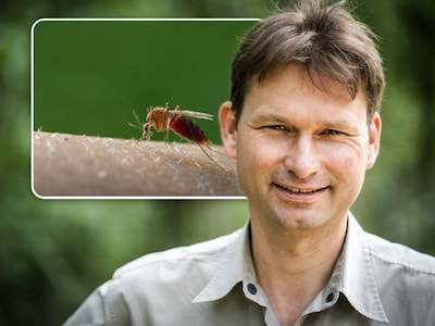 Het is pas net lente, maar het wemelt alweer van de muggen: dit is waarom en zo kom je er tegen in actie