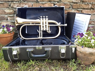 Amicitia Dodewaard geeft voorjaarsconcert in Dodewaard