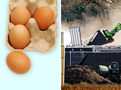 Kan ik er ook ziek van worden? De belangrijkste vragen (en antwoorden) over vogelgriep