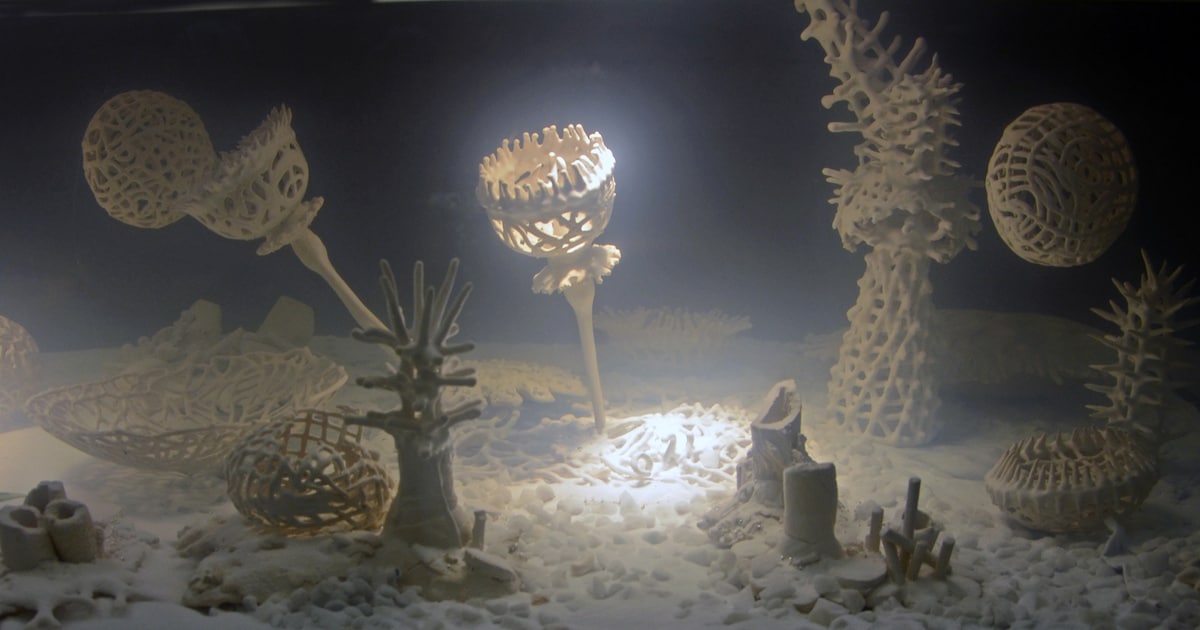 Hetty van de Zande toont onderwaterwereld in keramiek in Arnhem