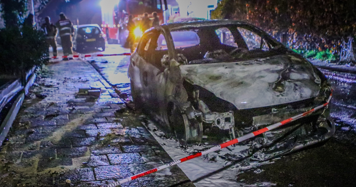 Brandweer kan auto niet meer redden in Rheden