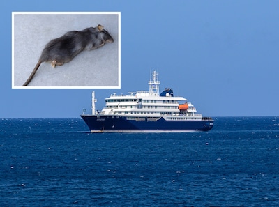 Heisa rond evacuatie ‘virusschip’: Nederlandse passagiers mogen niet van boord, andere cruises afgeblazen