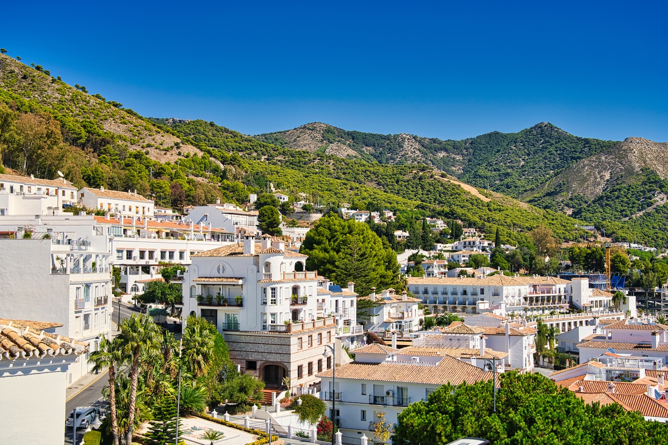 Bende opgerold die Nederlandse cryptomiljonair aan Spaanse Costa ontvoerde  en liet doodbloeden in bos | Foto | gelderlander.nl