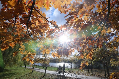 De meteorologische, grijze herfst is begonnen, maar niet getreurd: er is deze week nog ruimte voor de zon