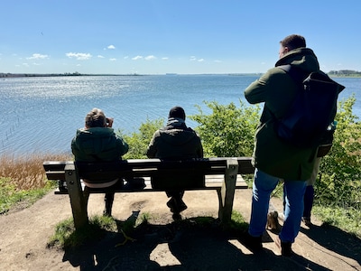 Waarom (bijna) iedereen meeleeft met reuzenwalvis Timmy: ‘Mensen hebben hem in het hart gesloten’