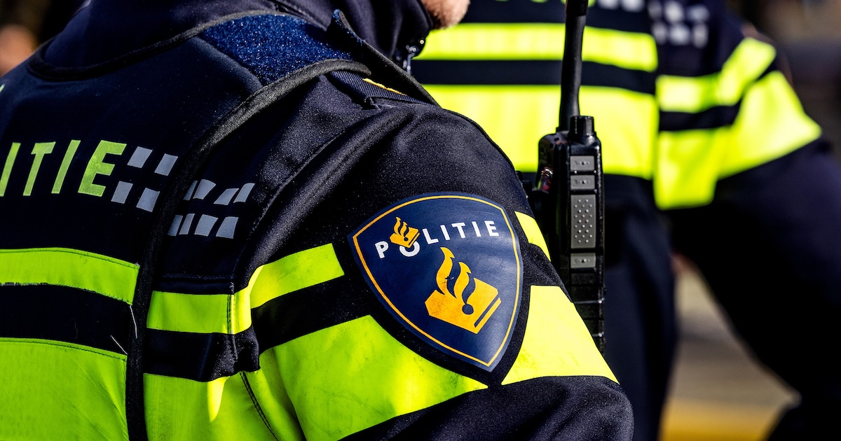 Bewoners schrikken wakker van harde knal: auto vernield in Den Dolder