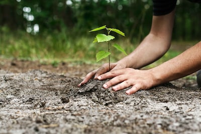 Klimaatwandeling in Winterswijk