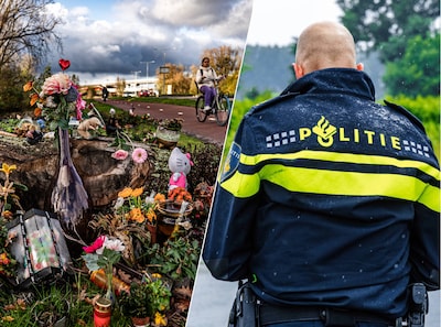 Rechercheur keek in systeem na moord op Lisa, en is woest dat hij op het matje is geroepen: ‘Tijd dat ik andere baan zoek’